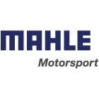 Mahle Products