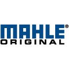 Mahle OE Products